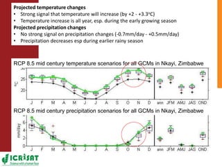 Climate change adaptation strategies in semi-arid Zimbabwe for sustainable intensification of crop-livestock systems