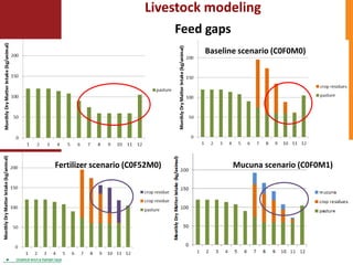 Climate change adaptation strategies in semi-arid Zimbabwe for sustainable intensification of crop-livestock systems