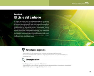 Bloque 1
El clima, un sistema interconectado
31
Lección 4
El ciclo del carbono
El dióxido de carbono es un gas biológicamente activo y es de suma
importanciaparalavidaenelplaneta.Estosedebeaqueformaparte
de procesos esenciales para los seres vivos y para el funcionamiento
de la naturaleza. El ciclo de carbono consta de dos fases: La fase
biogeoquímica, que se desarrolla en días y hasta miles de años y la
fase geoquímica del carbonato silicato, que tarda varios millones de
años en completarse. Ambas tienen funciones de suma importancia;
enlaprimerasellevanacabolarespiraciónylafotosíntesis,entrelos
procesos más importantes y gracias a la segunda, el planeta cuenta
con grandes reservas de carbono en forma de roca caliza y de lo que
conocemos como combustibles fósiles.
Aprendizajes esperados
Conceptos clave
• Relaciona el ciclo de carbono con los procesos de respiración y fotosíntesis.
• Reconoce que el dióxido de carbono es un gas biológicamente activo, fundamental para
la vida y el clima.
• Fase biogeoquímica: respiración y fotosíntesis
• Fase geoquímica de carbonato-silicato: formación de hidrocarburos o sedimentos en el océano
• El dióxido de carbono como gas biológicamente activo
 