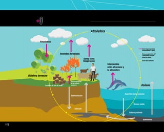 92
Material Complementario Fig. 1
fase biogeoquímica
fase geoquímica del
carbonato-silicato
Ciclo del carbono
 