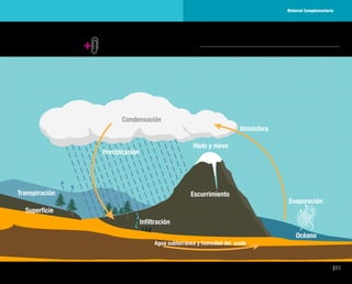 93
Material Complementario Fig. 2
Material Complementario
 