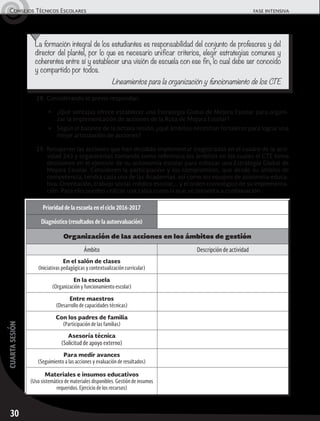 30
cuartasesiónConsejos Técnicos Escolares	 fase intensiva
La formación integral de los estudiantes es responsabilidad del conjunto de profesores y del
director del plantel, por lo que es necesario unificar criterios, elegir estrategias comunes y
coherentes entre sí y establecer una visión de escuela con ese fin, lo cual debe ser conocido
y compartido por todos.
Lineamientos para la organización y funcionamiento de los CTE
28.	Considerando lo previo respondan:
▶	 ¿Qué ventajas ofrece establecer una Estrategia Global de Mejora Escolar para organi-
zar la implementación de acciones de la Ruta de Mejora Escolar?
▶	 Según el balance de la octava sesión, ¿qué ámbitos necesitan fortalecer para lograr una
mejor articulación de acciones?
29.	Recuperen las acciones que han decidido implementar (registradas en el cuadro de la acti-
vidad 26) y organícenlas tomando como referencia los ámbitos en los cuales el CTE toma
decisiones en el ejercicio de su autonomía escolar para esbozar una Estrategia Global de
Mejora Escolar. Consideren la participación y los compromisos, que desde su ámbito de
competencia, tendrá cada una de las Academias, así como los equipos de asistencia educa-
tiva: Orientación, trabajo social, médico escolar,… y el orden cronológico de su implementa-
ción. Para ello pueden utilizar una tabla como la que se presenta a continuación:
Prioridad de la escuela en el ciclo 2016-2017
Diagnóstico (resultados de la autoevaluación)
Organización de las acciones en los ámbitos de gestión
Ámbito Descripción de actividad
En el salón de clases
(Iniciativas pedagógicas y contextualización curricular)
En la escuela
(Organización y funcionamiento escolar)
Entre maestros
(Desarrollo de capacidades técnicas)
Con los padres de familia
(Participación de las familias)
Asesoría técnica
(Solicitud de apoyo externo)
Para medir avances
(Seguimiento a las acciones y evaluación de resultados)
Materiales e insumos educativos
(Uso sistemático de materiales disponibles. Gestión de insumos
requeridos. Ejercicio de los recursos)
 