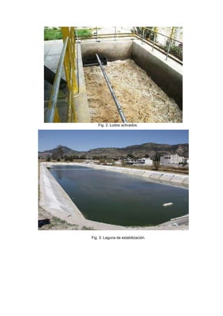 Fig. 2: Lodos activados.
Fig. 3: Laguna de estabilización.
 