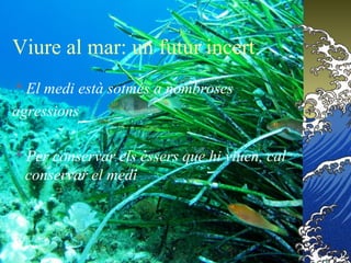Viure al mar: un futur incert
El medi està sotmés a nombroses
agressions
Per conservar els èssers que hi viuen, cal
conservar el medi
 