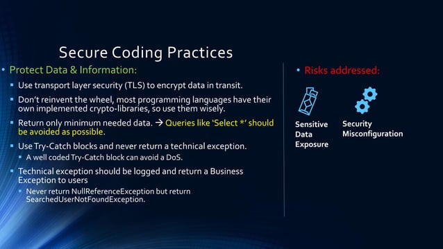 Secure coding guidelines | PDF