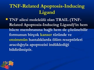 FasR/TNF TCR Sitokin azlığı Steroidler 
Genotoksik hasar 
Hücre ölüm sinyapli53 
E1 
Myc A 
BCL-2/BAX 
BCL-XL/BAX 
BCL-2/B...