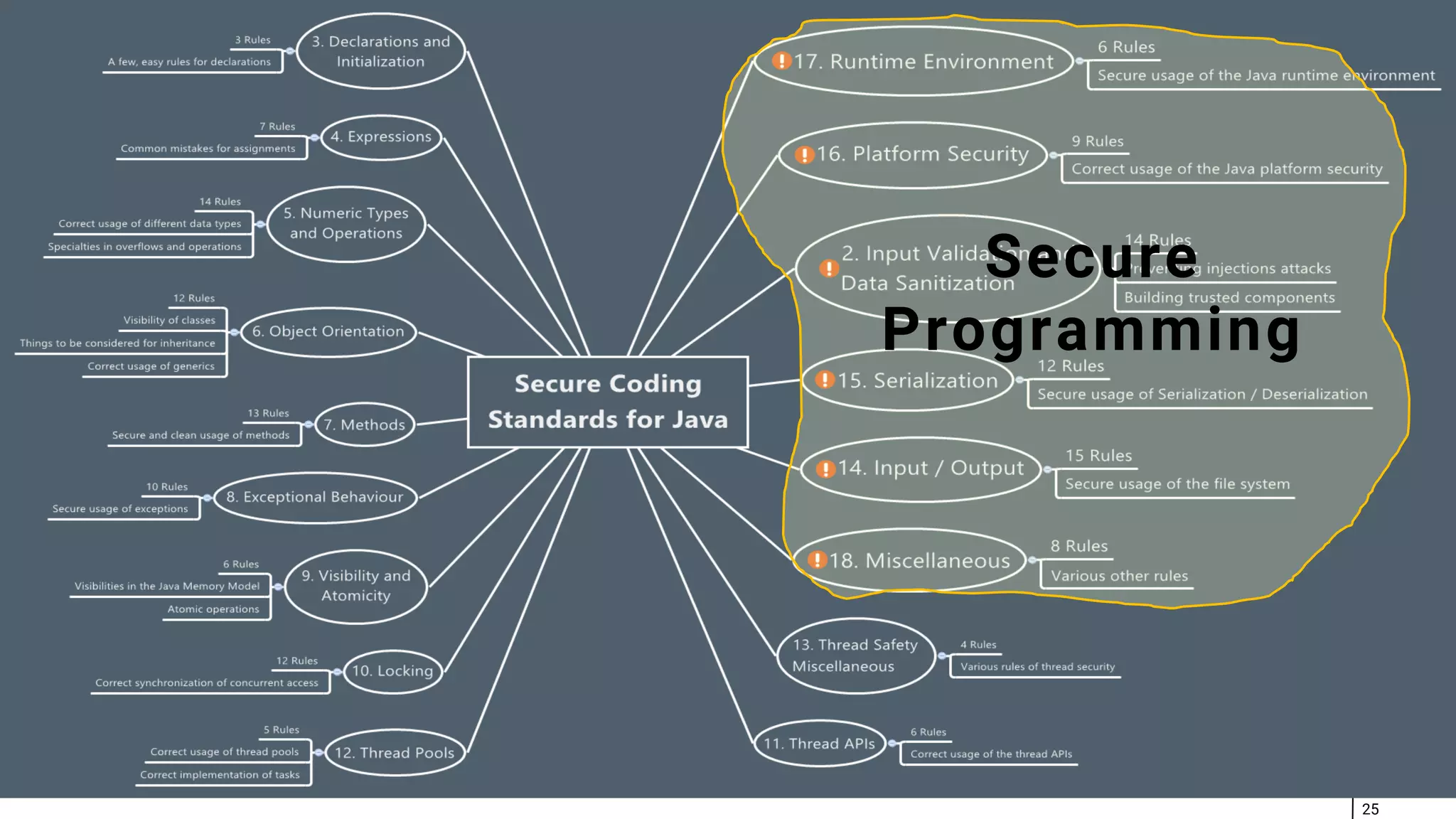 25 Secure Programming 