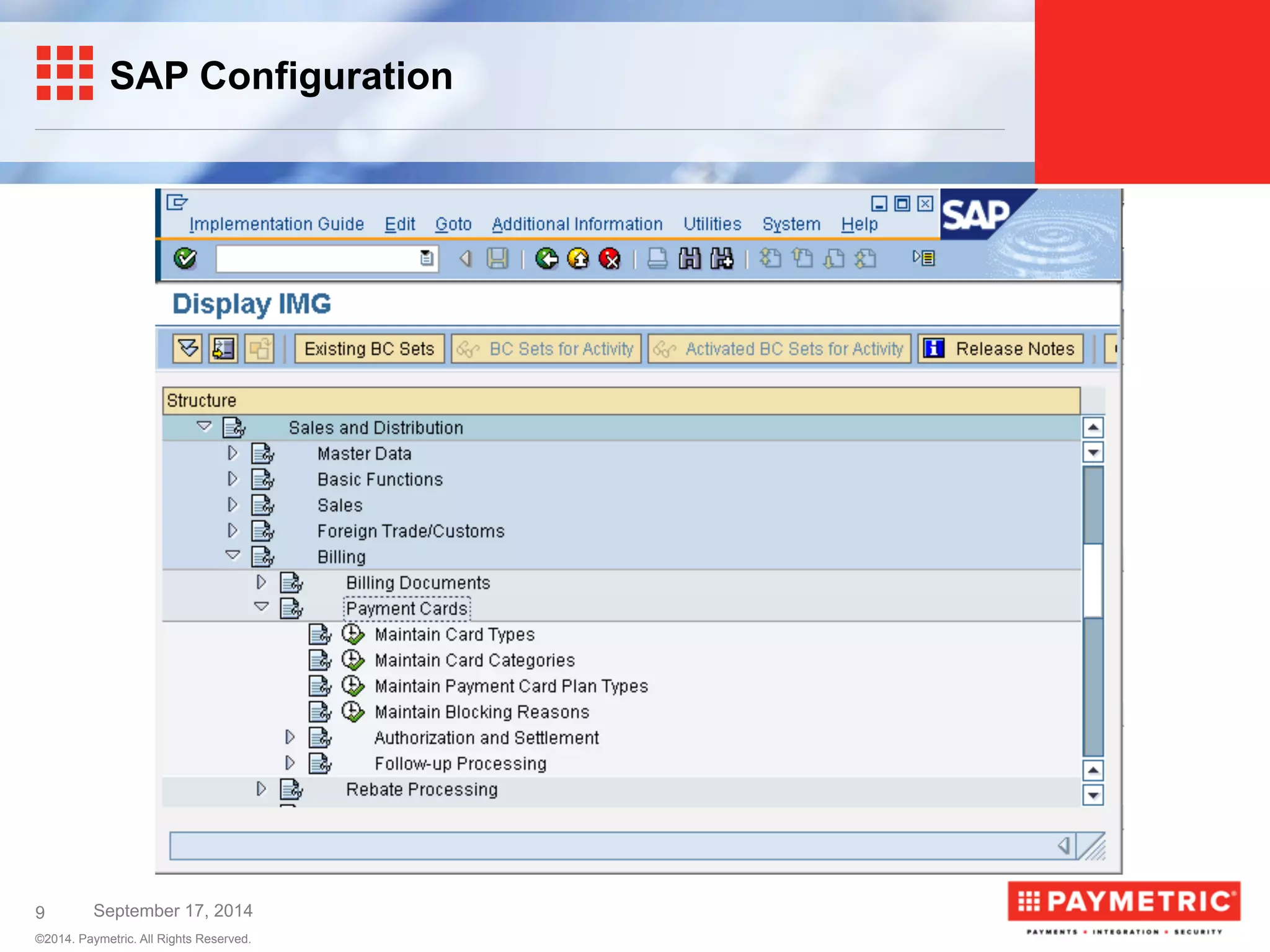 Secure Payment Integration for SAP | PDF