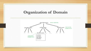 Organization of Domain
 