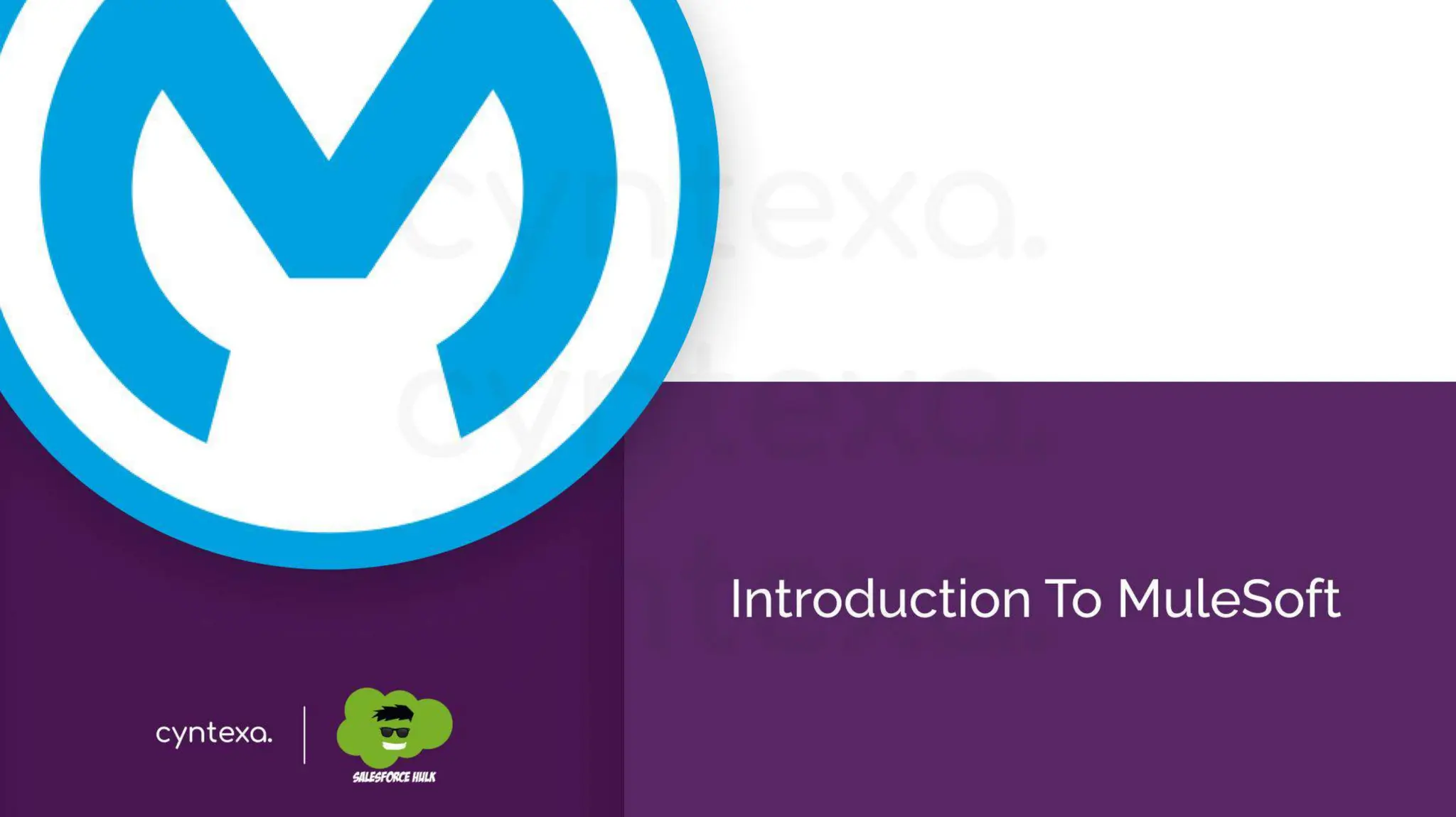 Securing APIs & Integrations With MuleSoft: Protect Your Digital Backbone