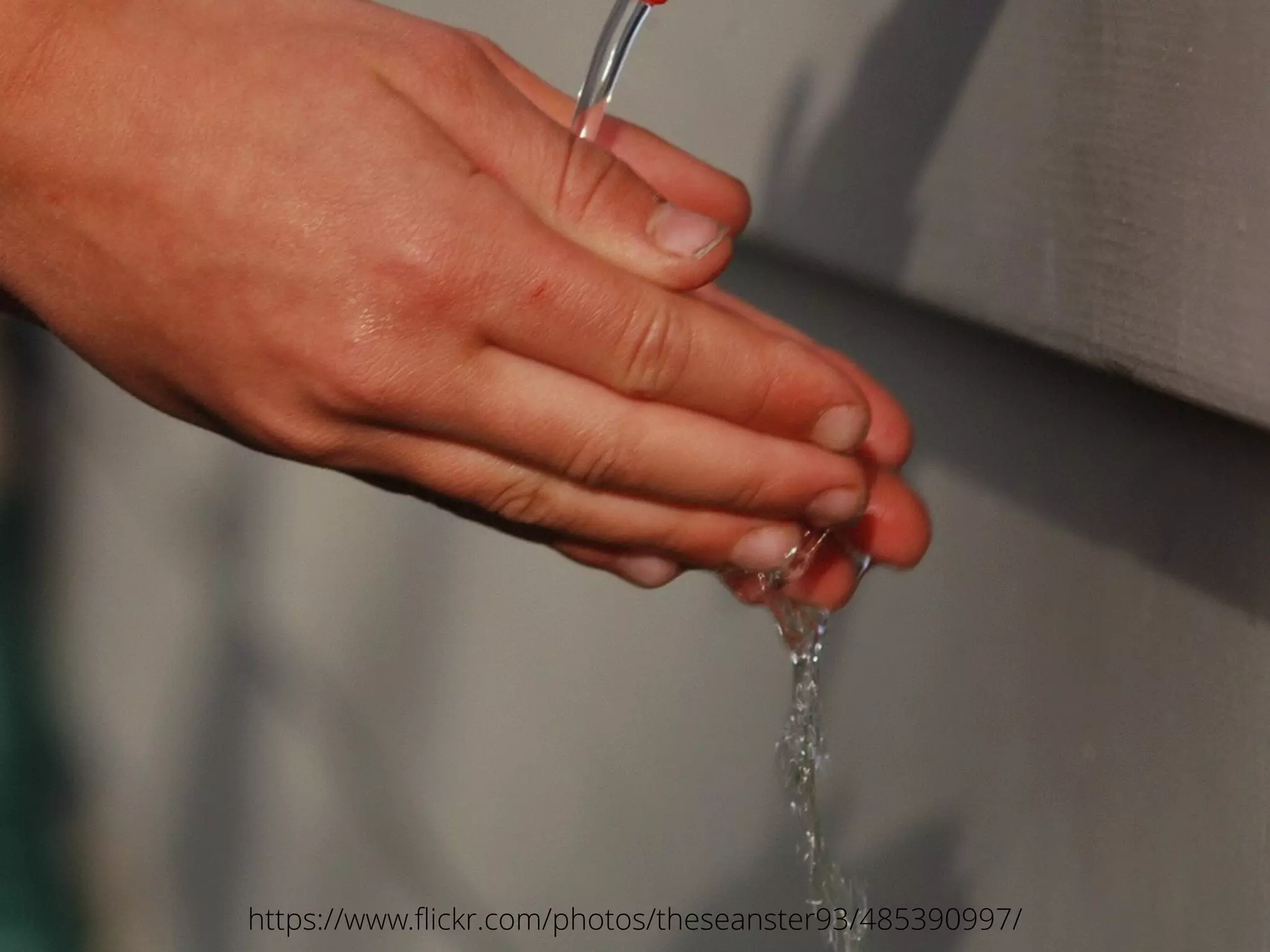 @samnewmanhttps://www.ﬂickr.com/photos/theseanster93/485390997/
 