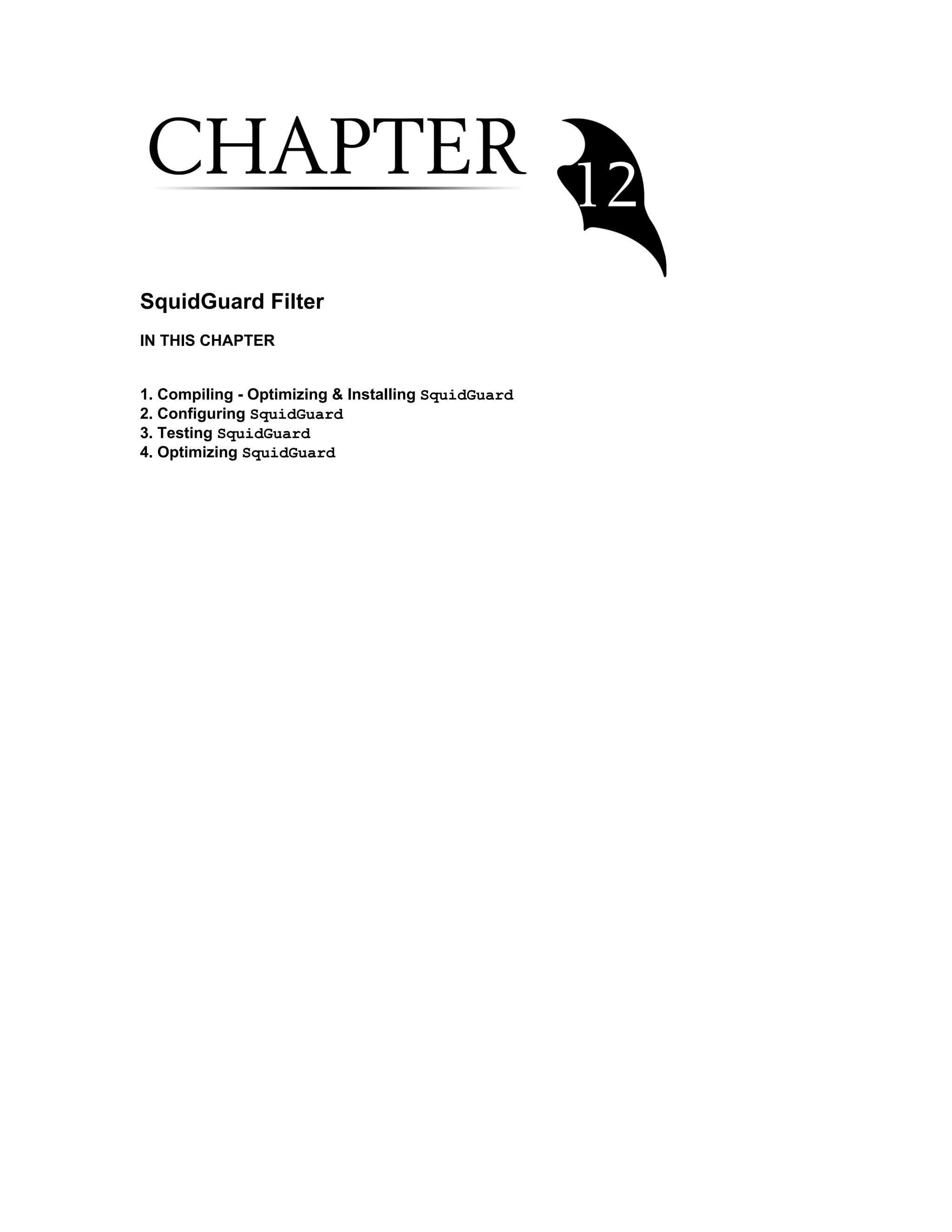 SquidGuard Filter
IN THIS CHAPTER
1. Compiling - Optimizing & Installing SquidGuard
2. Configuring SquidGuard
3. Testing SquidGuard
4. Optimizing SquidGuard
 