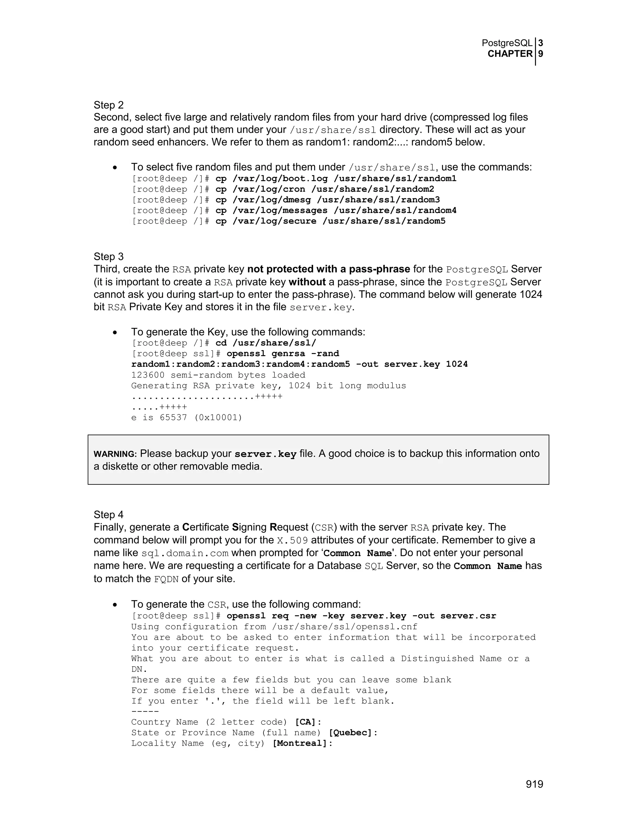 Securing optimizing linux. the hacking solution