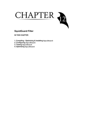 SquidGuard Filter
IN THIS CHAPTER
1. Compiling - Optimizing & Installing SquidGuard
2. Configuring SquidGuard
3. Testing SquidGuard
4. Optimizing SquidGuard
 