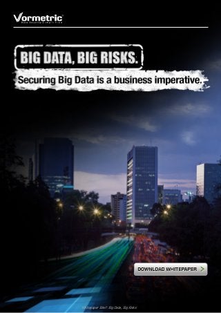 Whitepaper Brief: Big Data, Big Risks
 