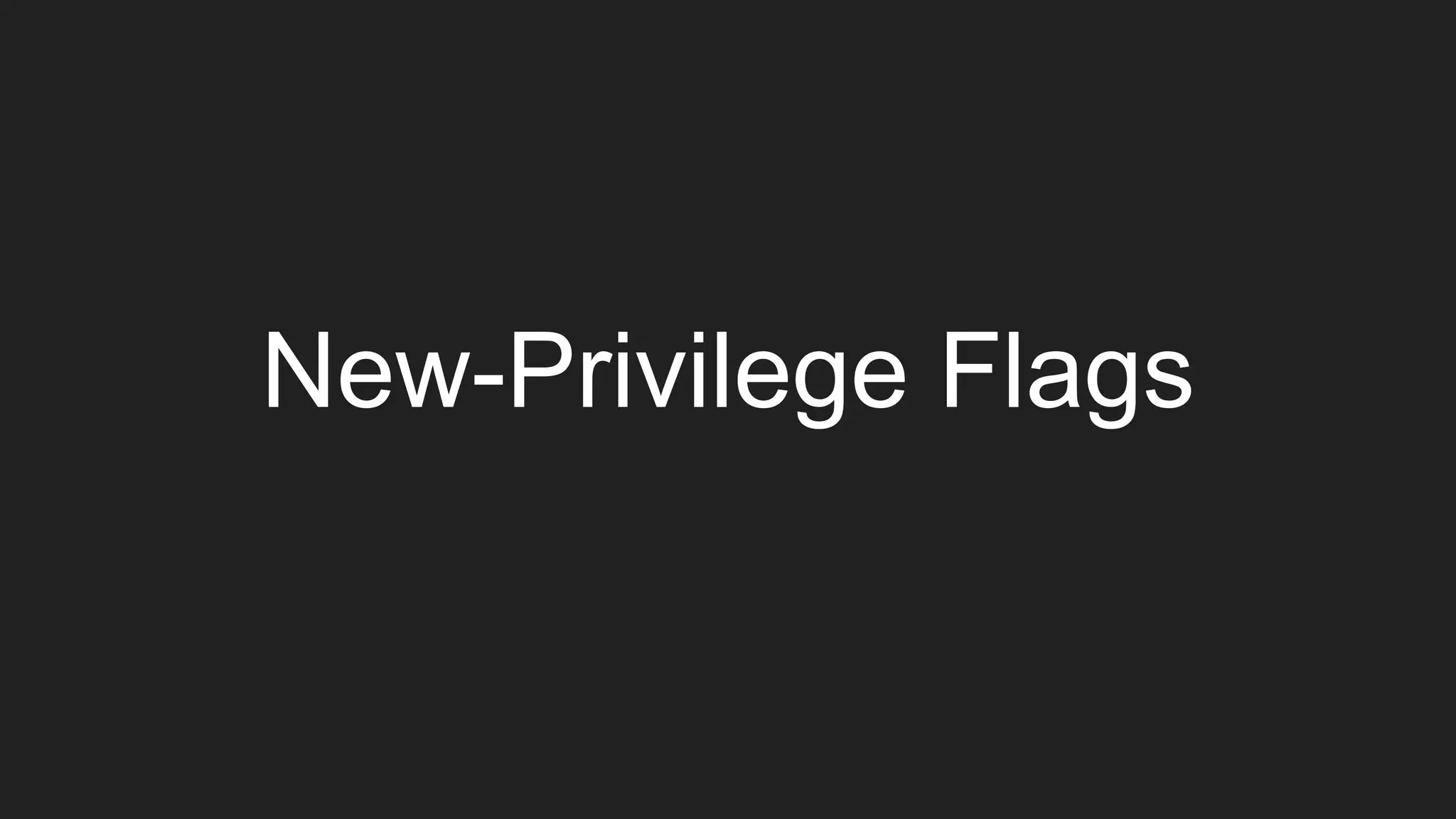 New-Privilege Flags
 