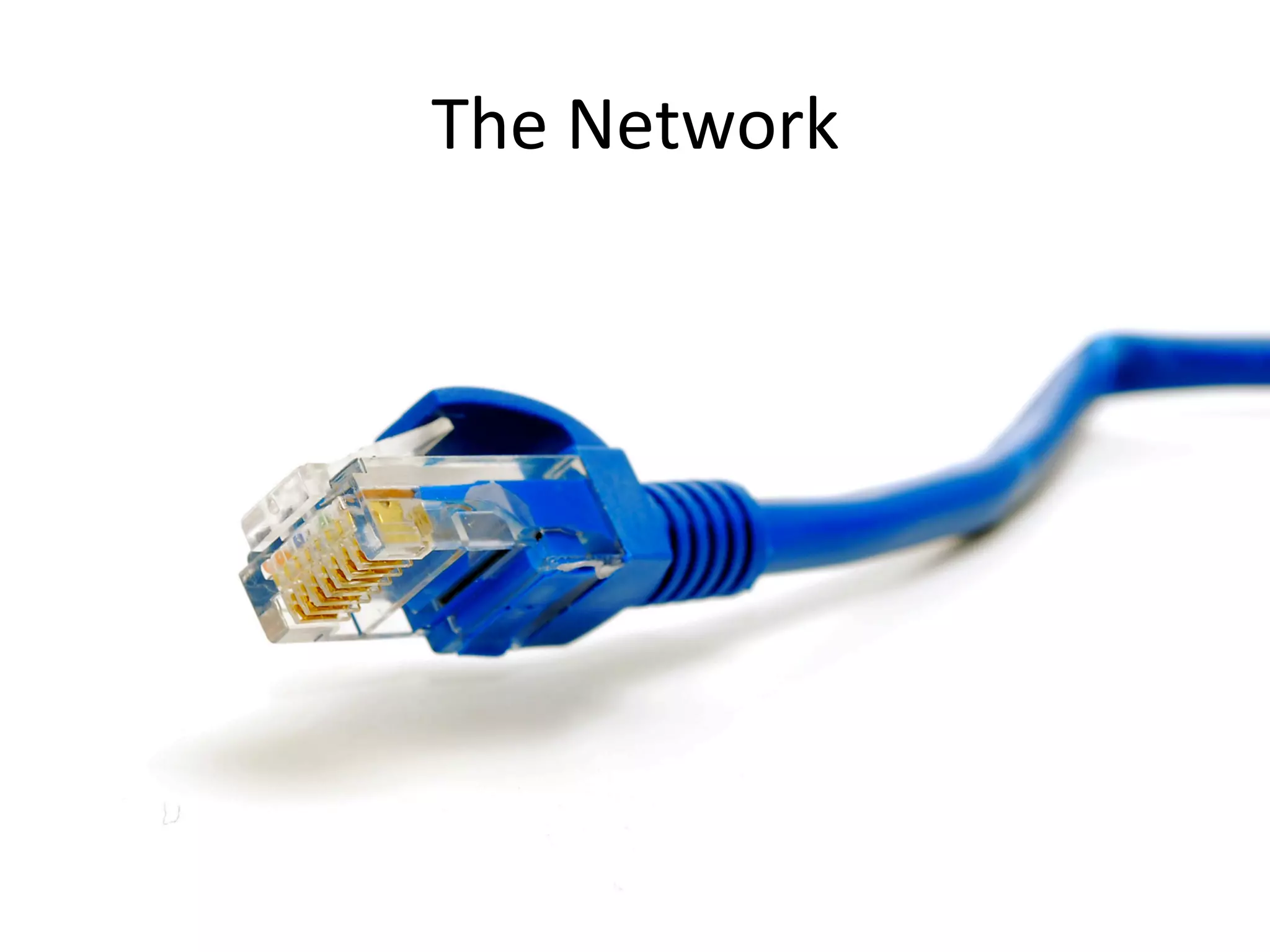 The	
  Network	
  
 