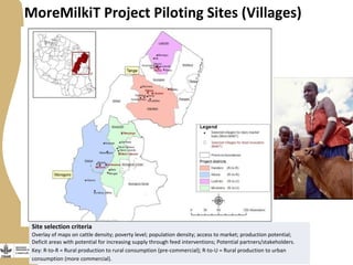 Securing more income for the marginalized in Tanzania through dairy market hubs