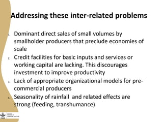 Securing more income for the marginalized in Tanzania through dairy market hubs