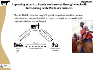 Securing more income for the marginalized in Tanzania through dairy market hubs