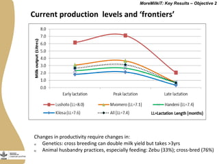 Securing more income for the marginalized in Tanzania through dairy market hubs