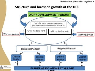 Securing more income for the marginalized in Tanzania through dairy market hubs