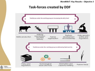 Securing more income for the marginalized in Tanzania through dairy market hubs