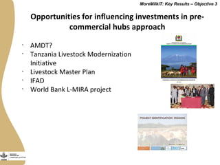 Securing more income for the marginalized in Tanzania through dairy market hubs