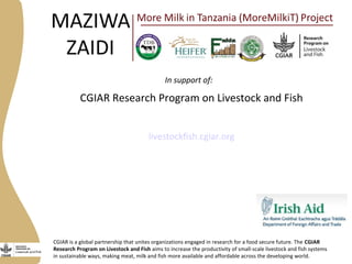 Securing more income for the marginalized in Tanzania through dairy market hubs