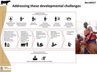 Securing more income for the marginalized in Tanzania through dairy market hubs