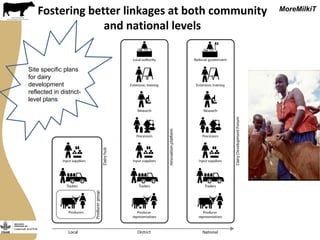 Securing more income for the marginalized in Tanzania through dairy market hubs