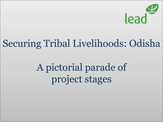 Securing Tribal Livelihoods: Odisha

       A pictorial parade of
          project stages
 