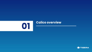 Calico overview
01
 