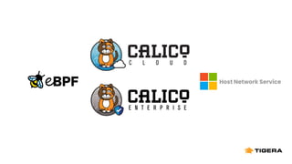 Host Network Service
 