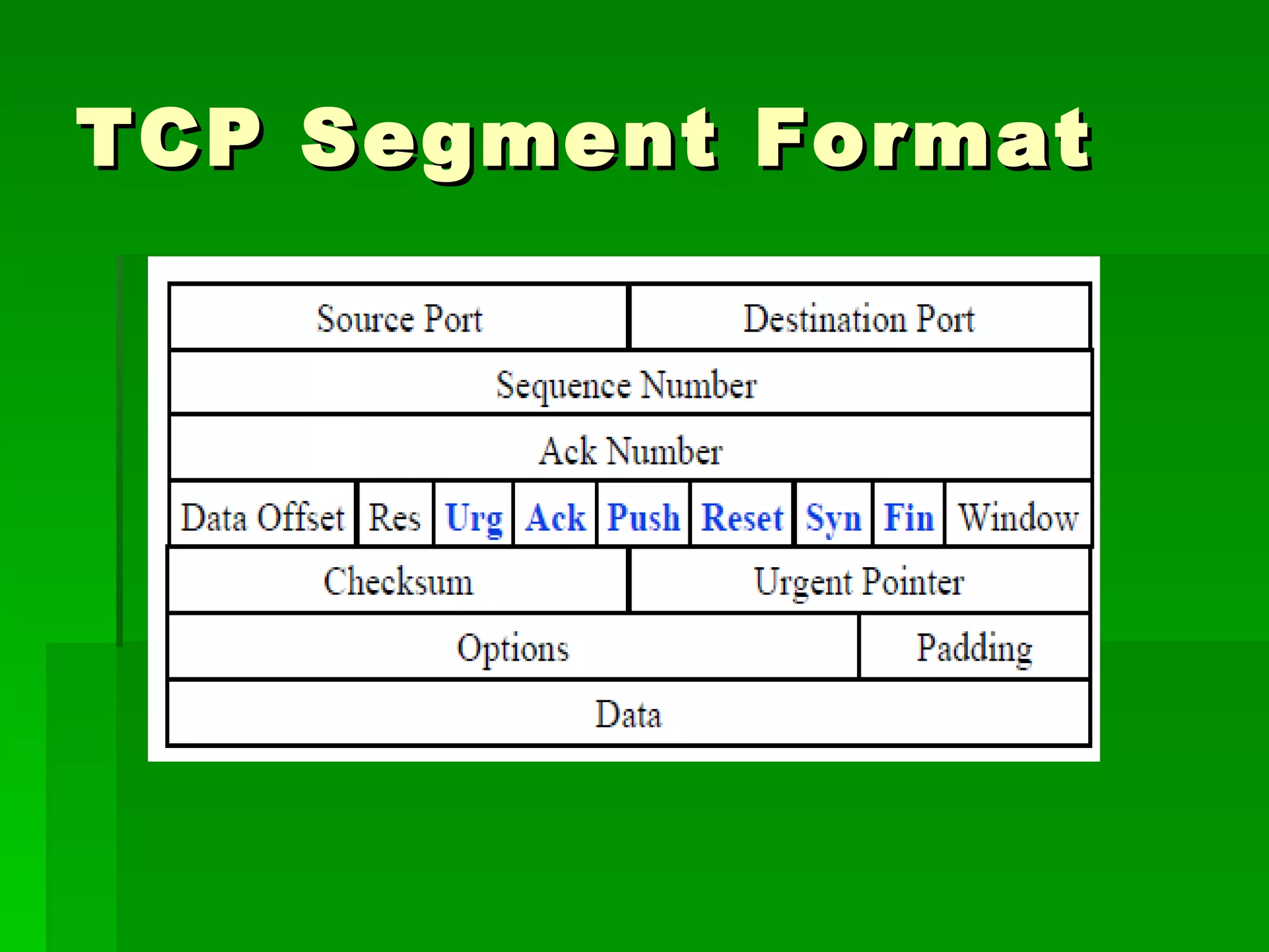 TCP Segment Format 