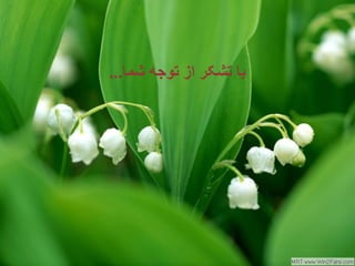 ‫با تشکر از توجه شما...‬




                         ‫93‬
 