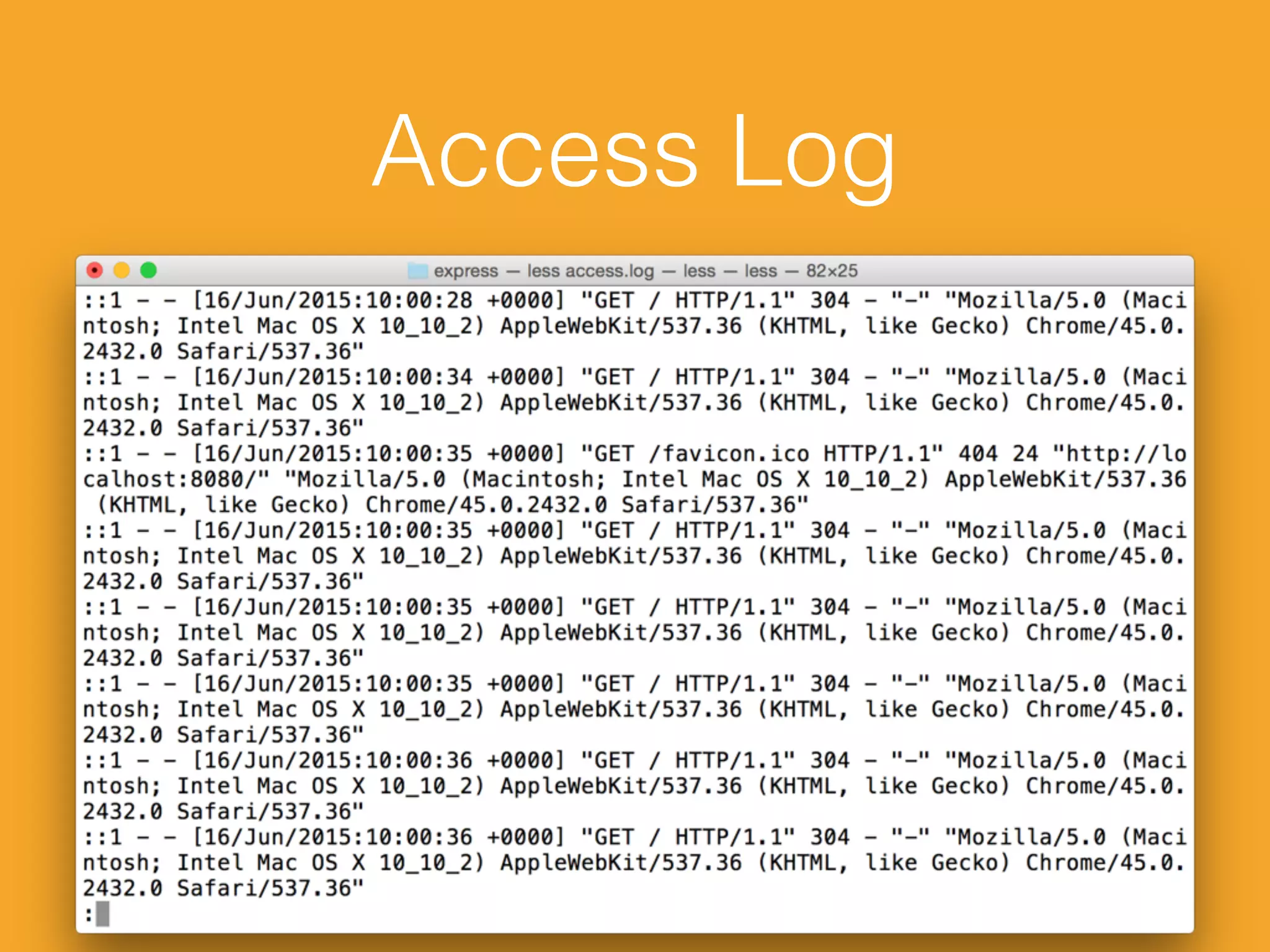 Access Log
 