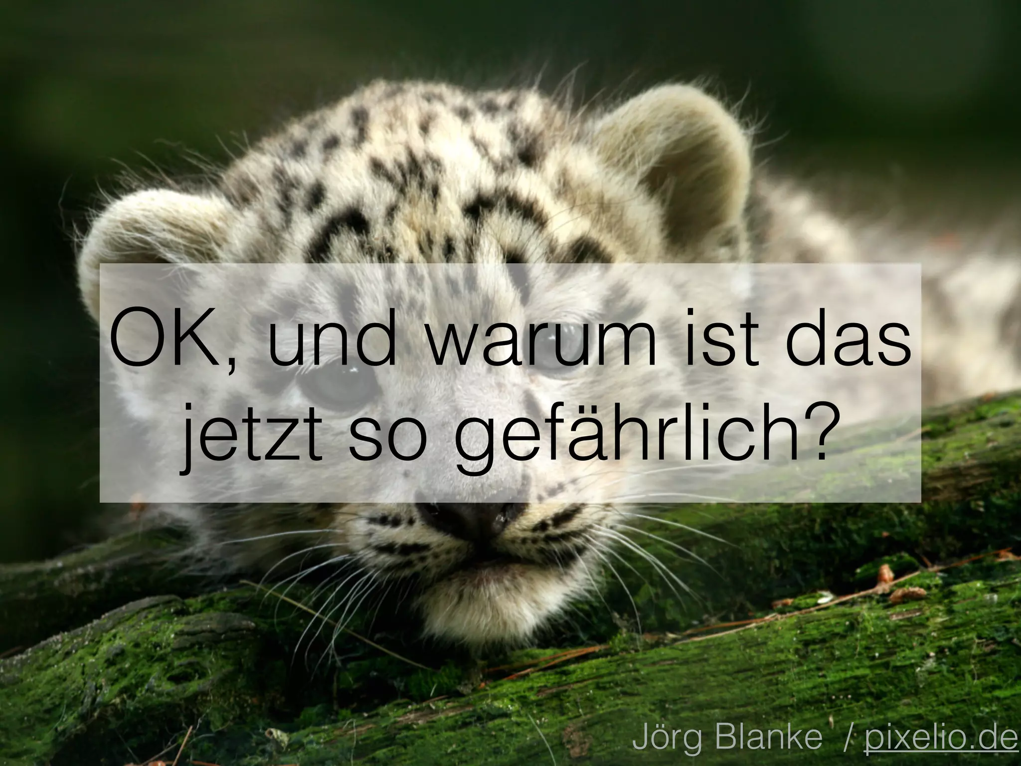 OK, und warum ist das
jetzt so gefährlich?
Jörg Blanke / pixelio.de
 