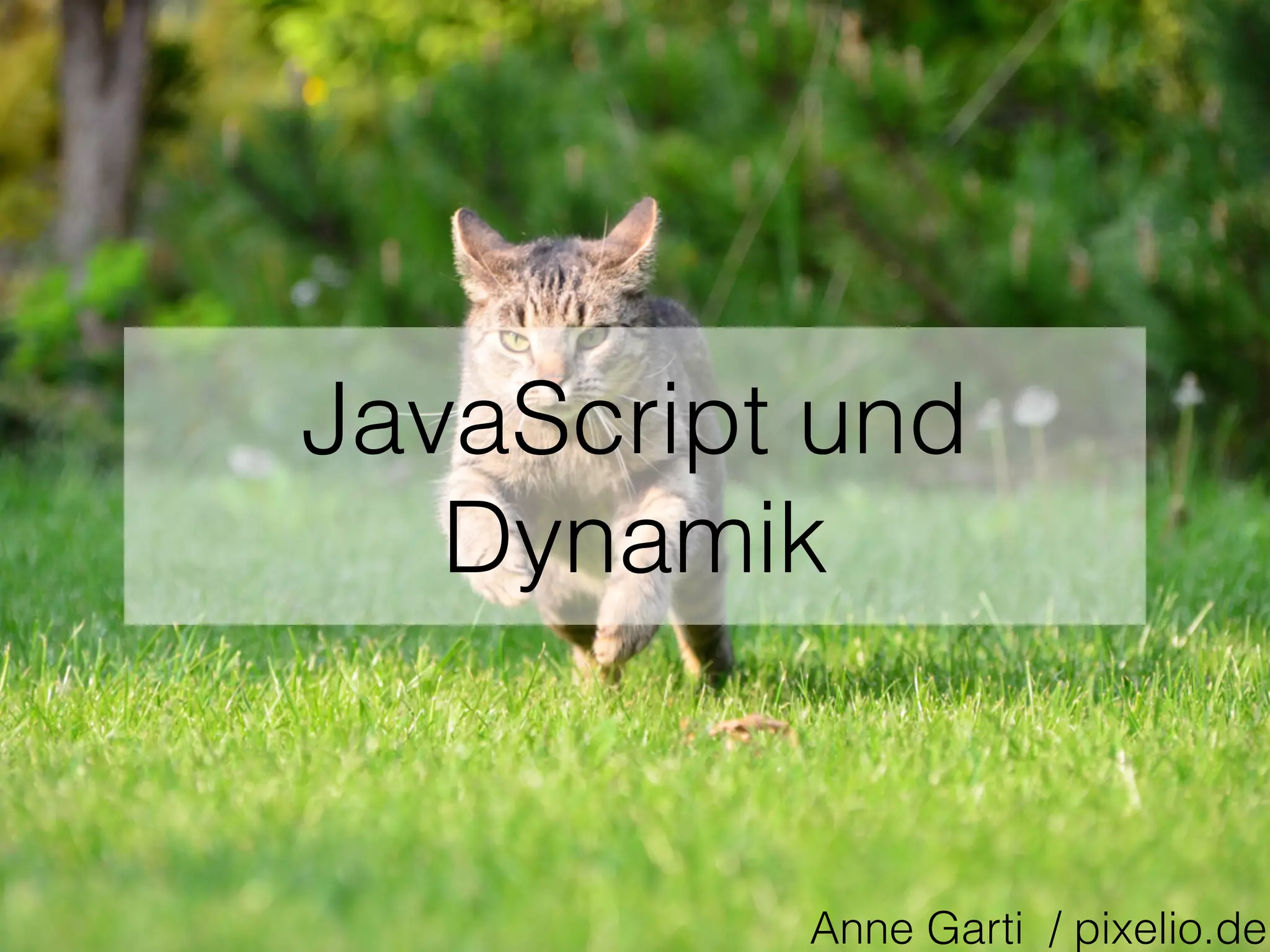 JavaScript und
Dynamik
Anne Garti / pixelio.de
 