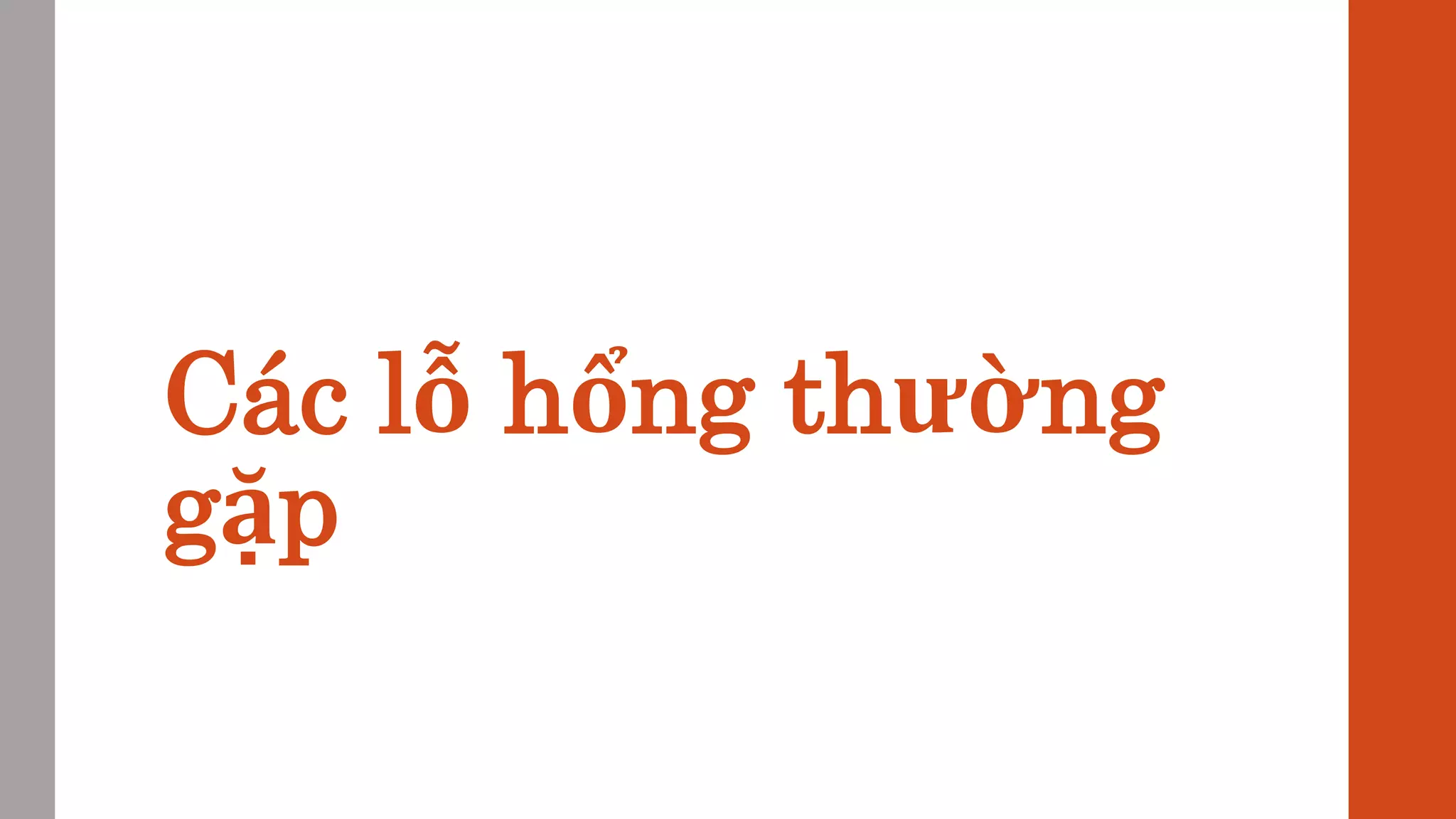 Các lỗ hổng thường
gặp
 