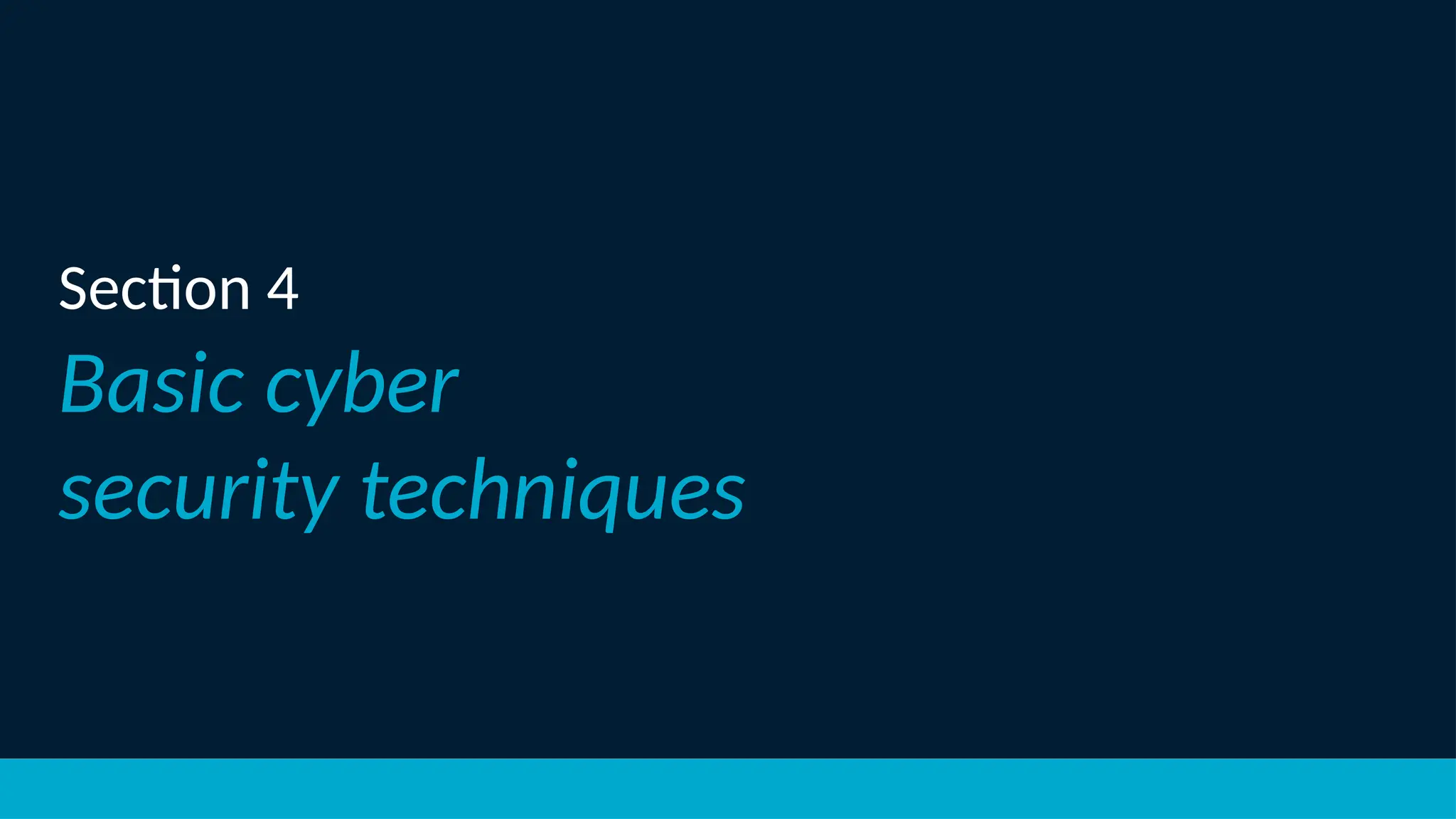 Section 4
Basic cyber
security techniques
 