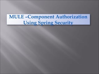 MULE –Component Authorization
Using Spring Security
 