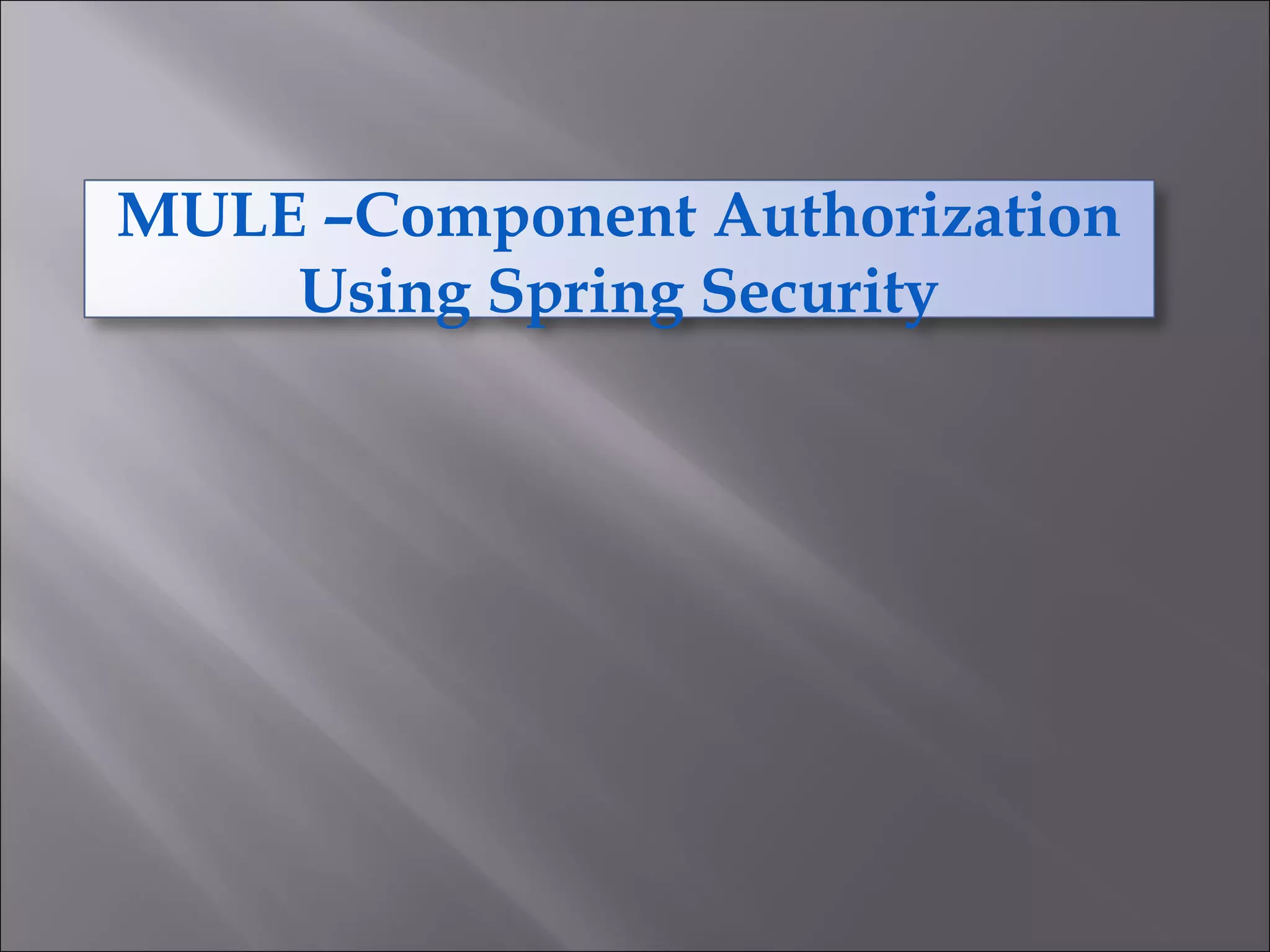 MULE –Component Authorization
Using Spring Security
 