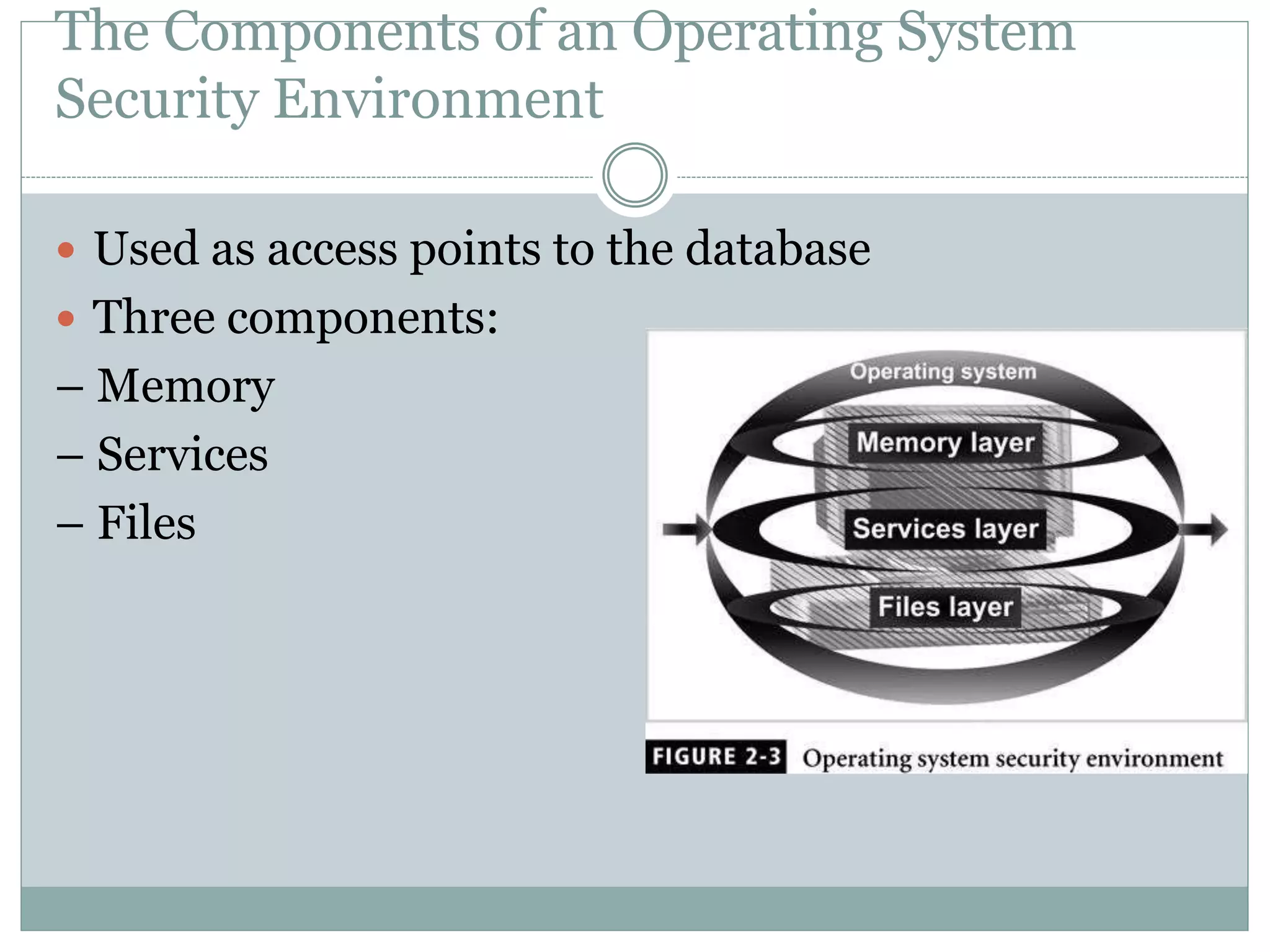 The Components of an Operating System
Security Environment
 Used as access points to the database
 Three components:
– Memory
– Services
– Files
 