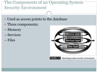 The Components of an Operating System
Security Environment
 Used as access points to the database
 Three components:
– Memory
– Services
– Files
 