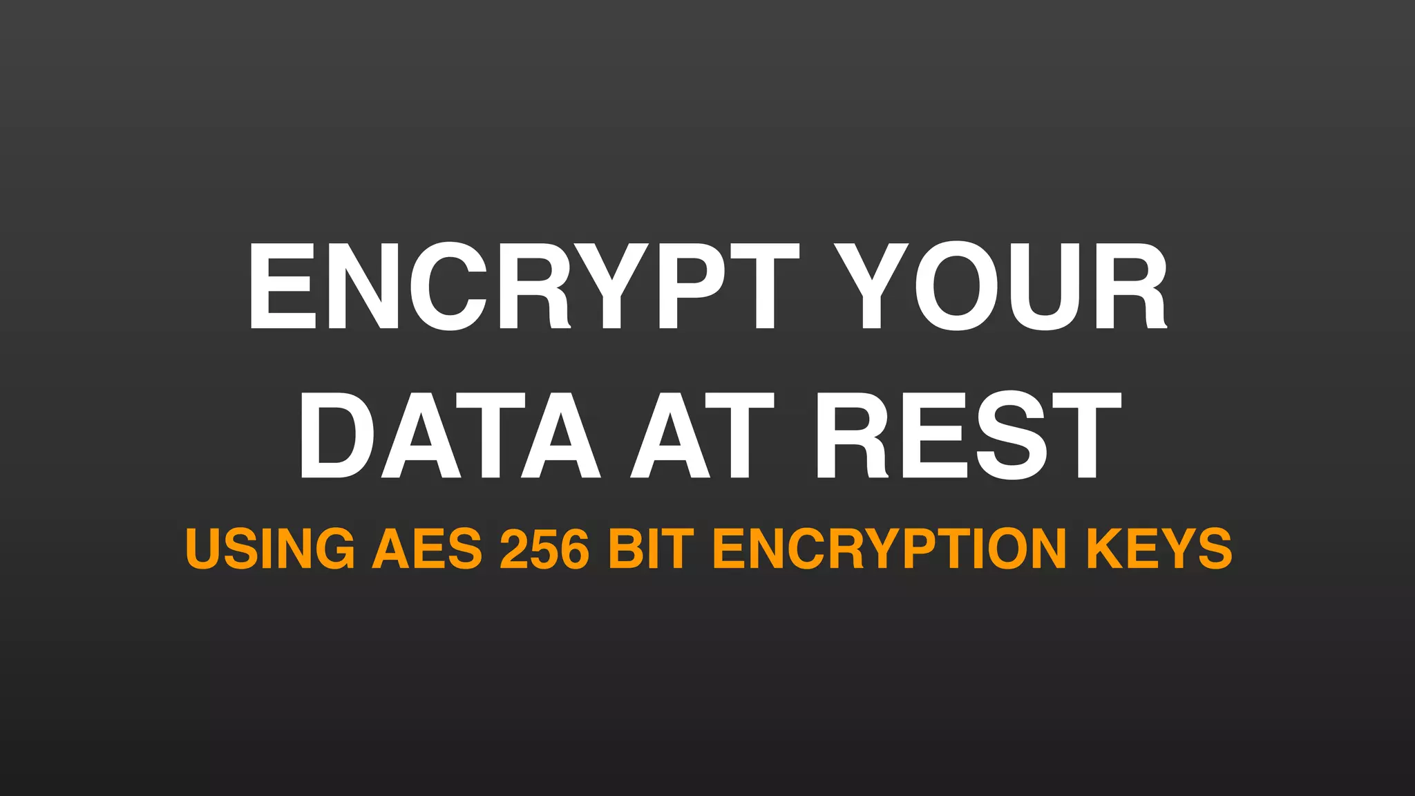 ENCRYPT YOUR
DATA AT REST
USING AES 256 BIT ENCRYPTION KEYS
 