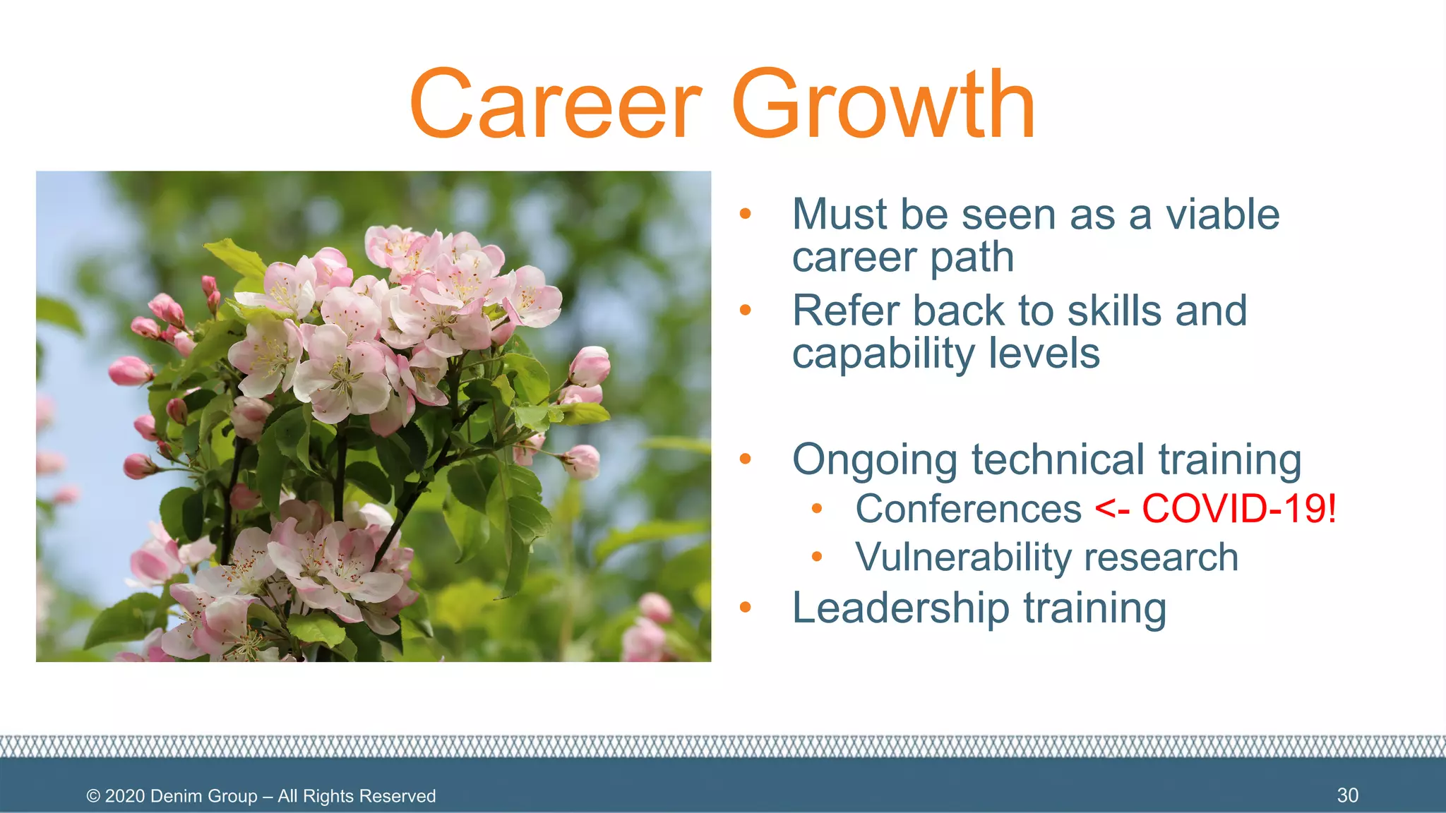 © 2020 Denim Group – All Rights Reserved
Career Growth
• Must be seen as a viable
career path
• Refer back to skills and
capability levels
• Ongoing technical training
• Conferences <- COVID-19!
• Vulnerability research
• Leadership training
30
 