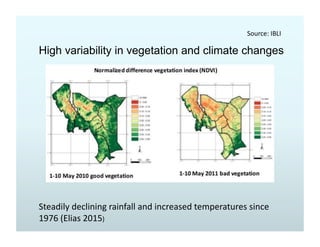 Crossborder dynamics and security in the southern Ethiopia-northern Kenya borderlands