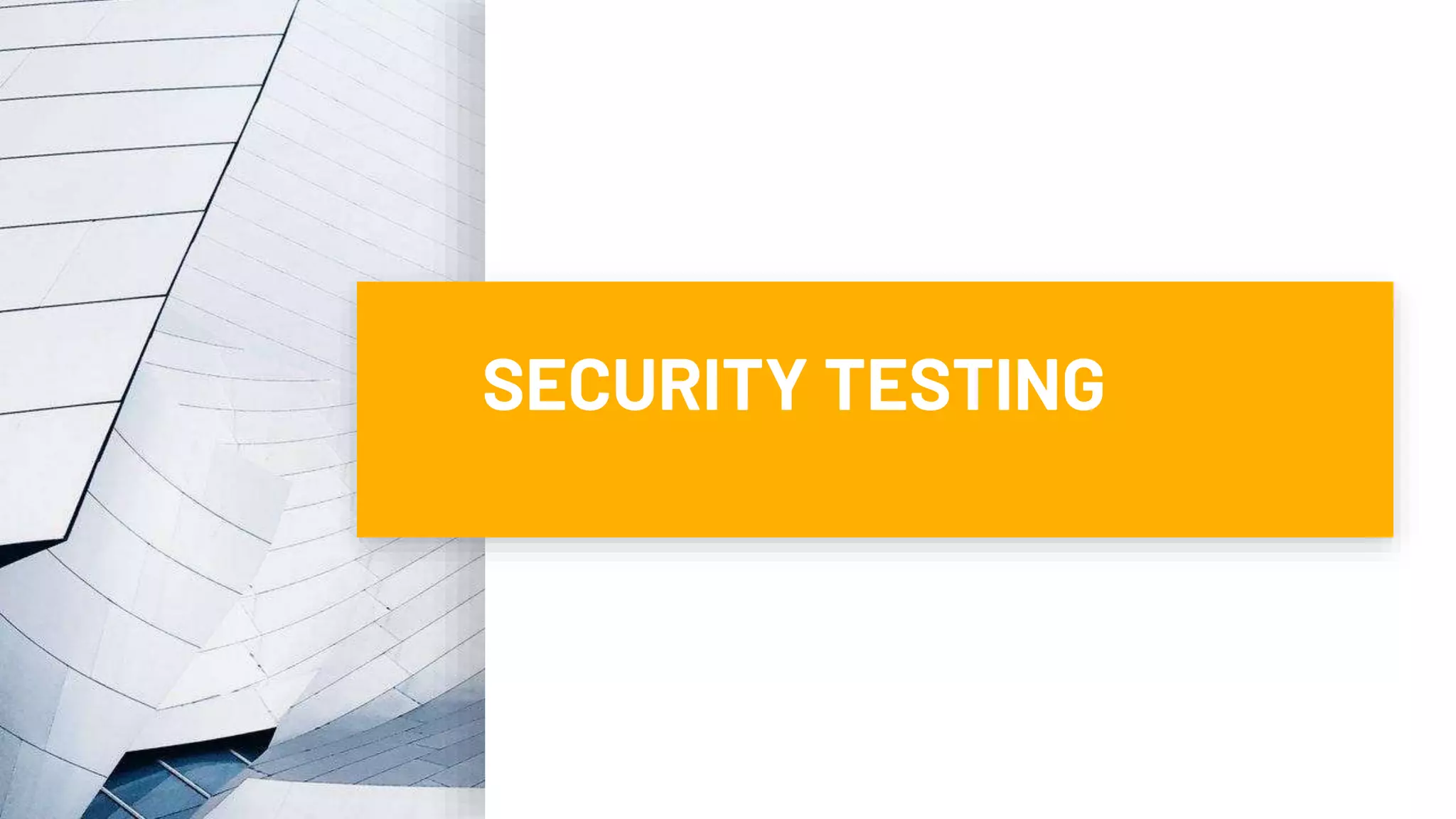 SECURITY TESTING
 