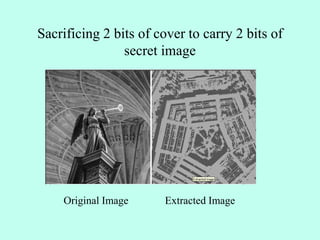 Sacrificing 2 bits of cover to carry 2 bits of
secret image
Original Image Extracted Image
 